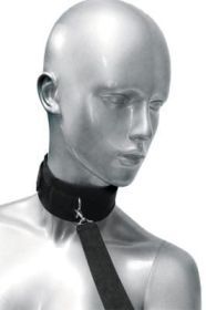 Frisky 46 Inch Leash and Collar Set